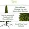 10ft. Pre-Lit Green Mountain Pine Artificial Christmas Tree, Clear LED Lights